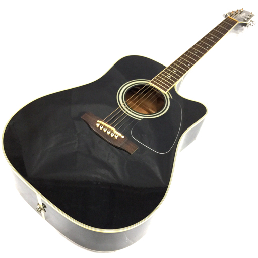 タカミネ エレアコギター エレキ アコースティックギター PT-209 ハードケース付き ブラック 出音確認済み TAKAMINE