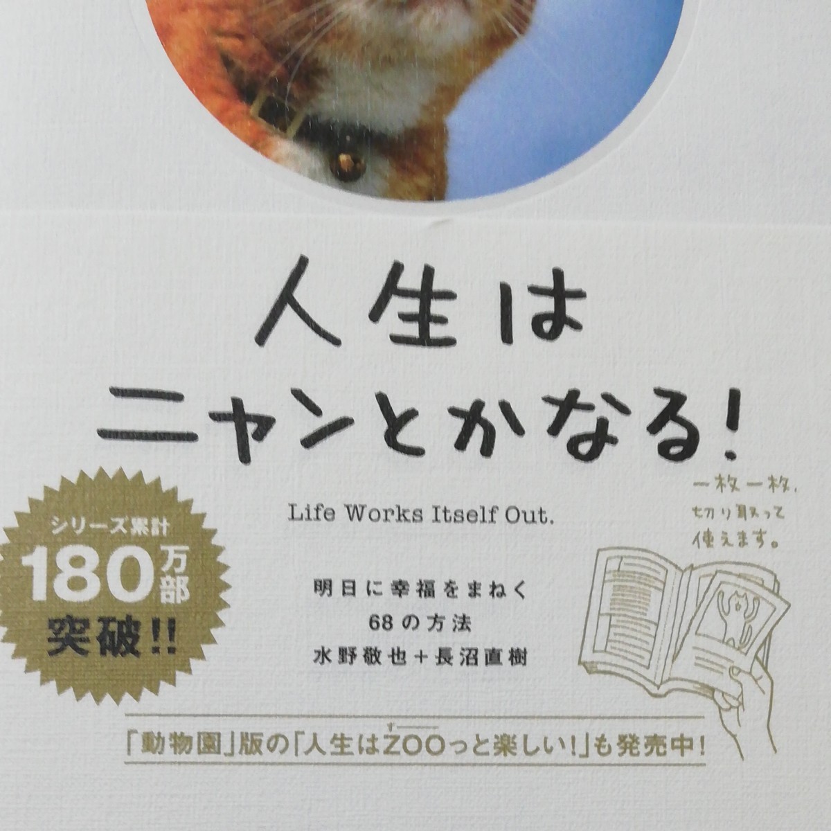 人生はニャンとかなる！　明日に幸福をまねく６８の方法 水野敬也／著　長沼直樹／著