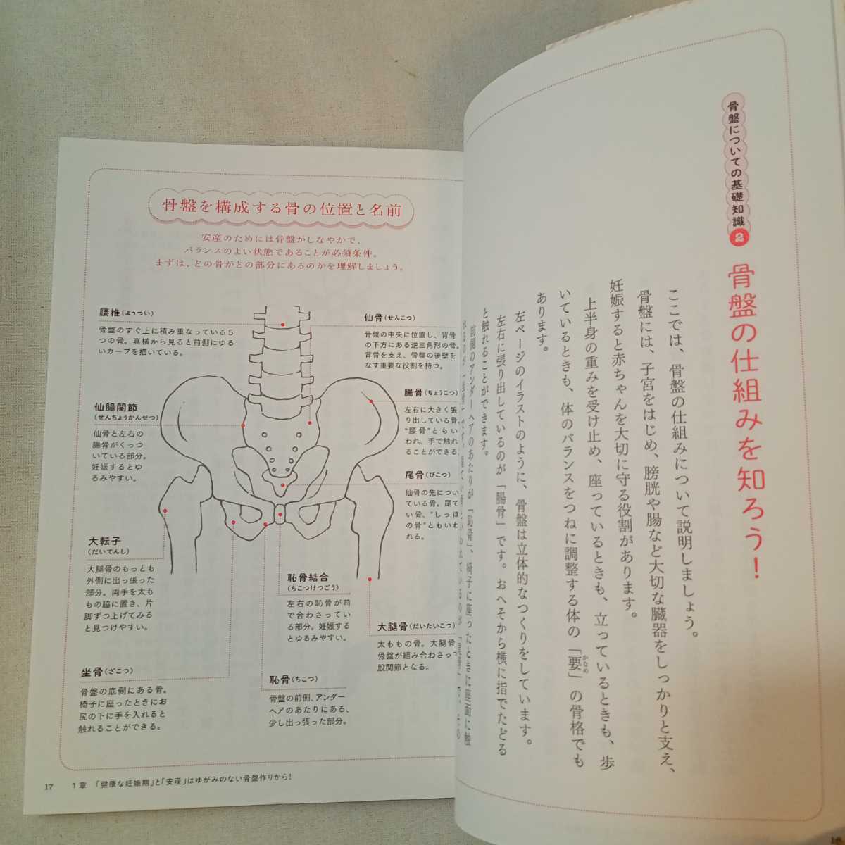 zaa-310♪安産力を高める骨盤ケア 単行本 2013/11/27 上野順子 (著), 渡部信子 (監修)