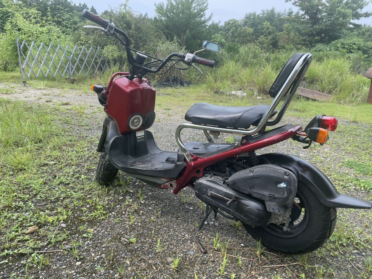 AF58 ズーマー 実働 走る曲がる止まる済み | caminodepaz.edu.co