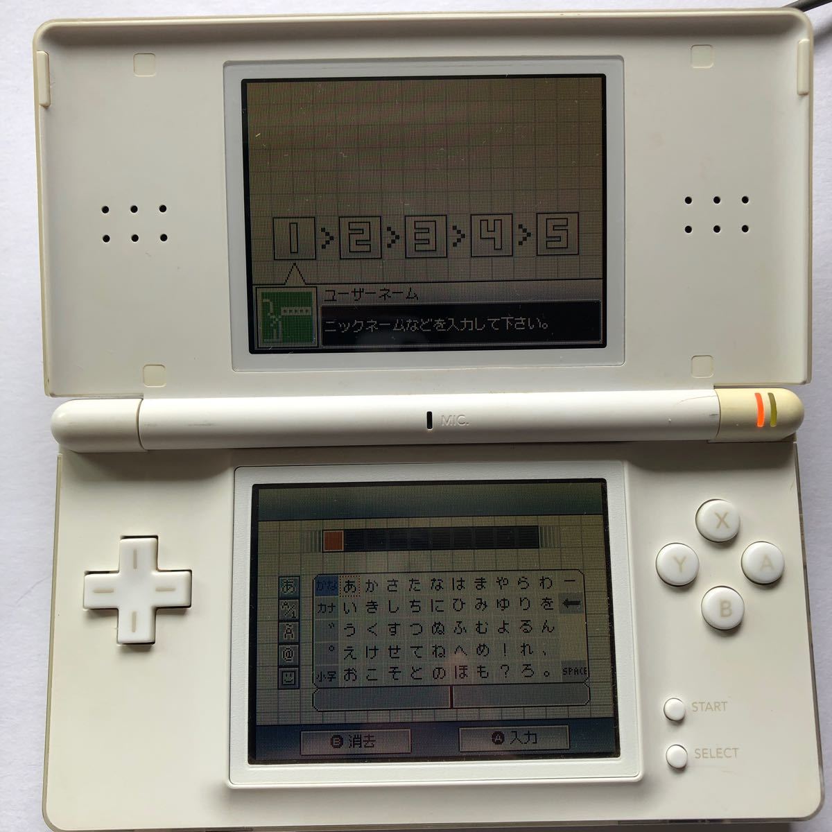 ニンテンドーDS Lite ニンテンドーDSライト Nintendo DS Lite