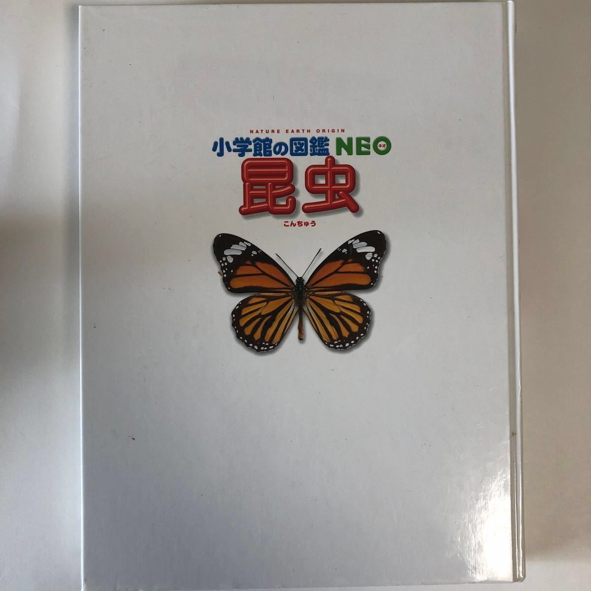 小学館の図鑑NEO 昆虫 小学舘 昆虫図鑑 図鑑NEO