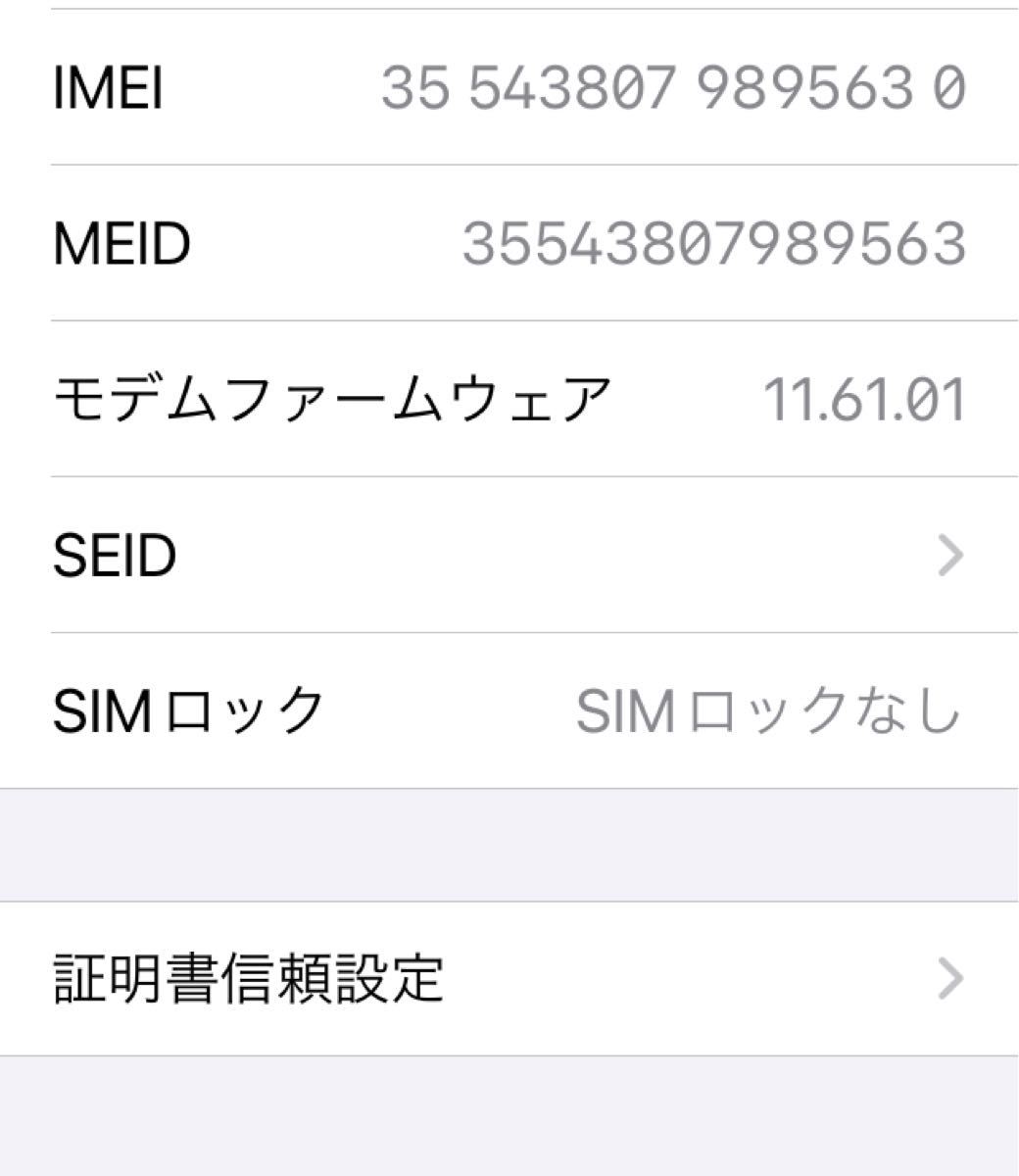 iPhone SE スペースグレイ SIMフリー バッテリー100%