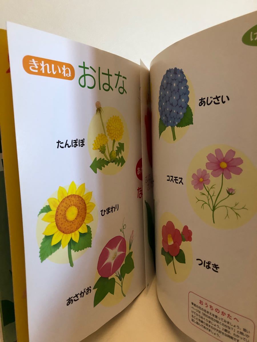 ２さいだもん　生き物　乗り物　生活　お話　歌　しりたい！やりたい！もっともっと！２さいのやる気をまいにち応援！  無藤隆／監修