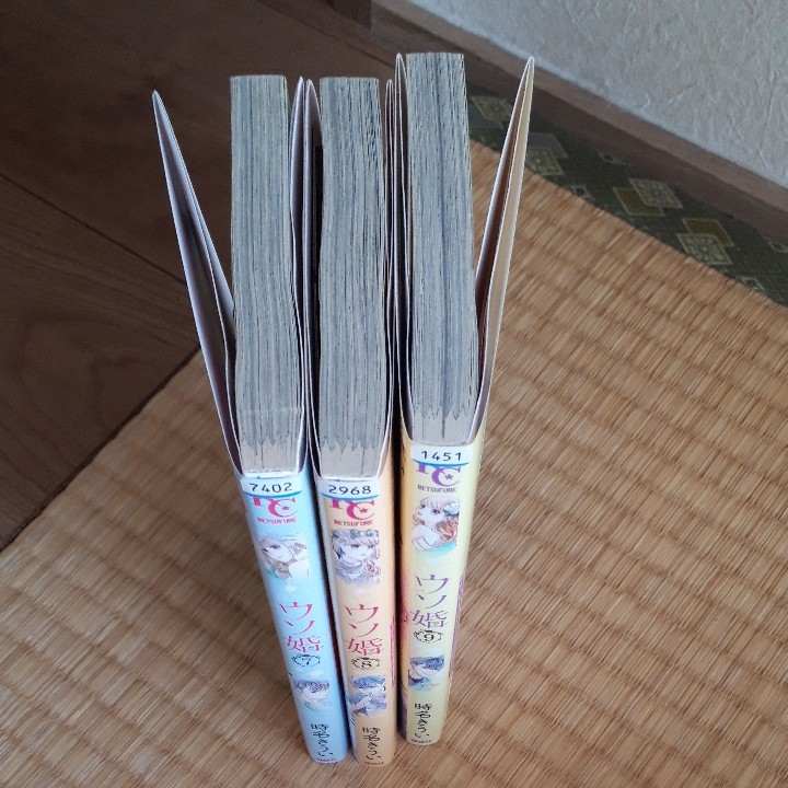 ぶひぶひ様専用　レンタルアップ商品4冊セット
