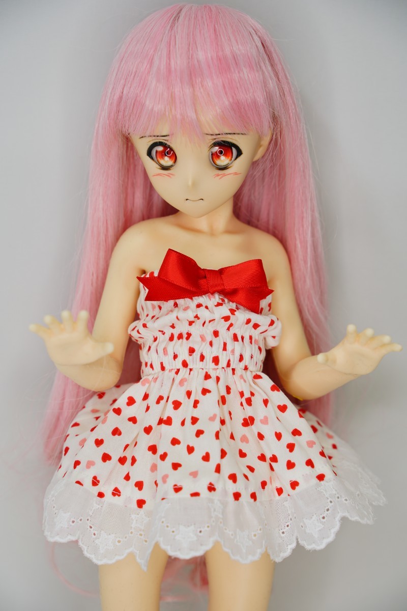 カスタム40cmシームレスドール 鯖缶ヘッド\u0026東京ドールMDD