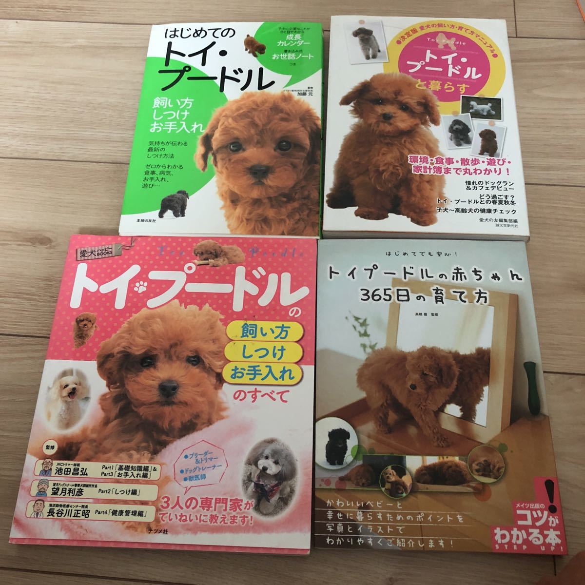 トイ　プードル　しつけ　躾　飼い方　手入れ　本　犬　ペット_画像1