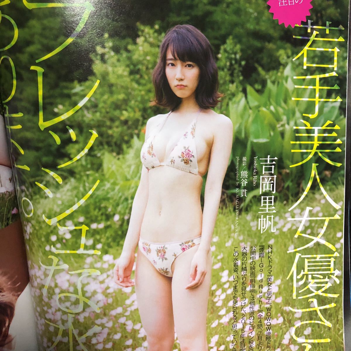 週刊プレイボーイ吉岡里帆関連2冊2015.20年No.27.46 松岡ちな付録DVD