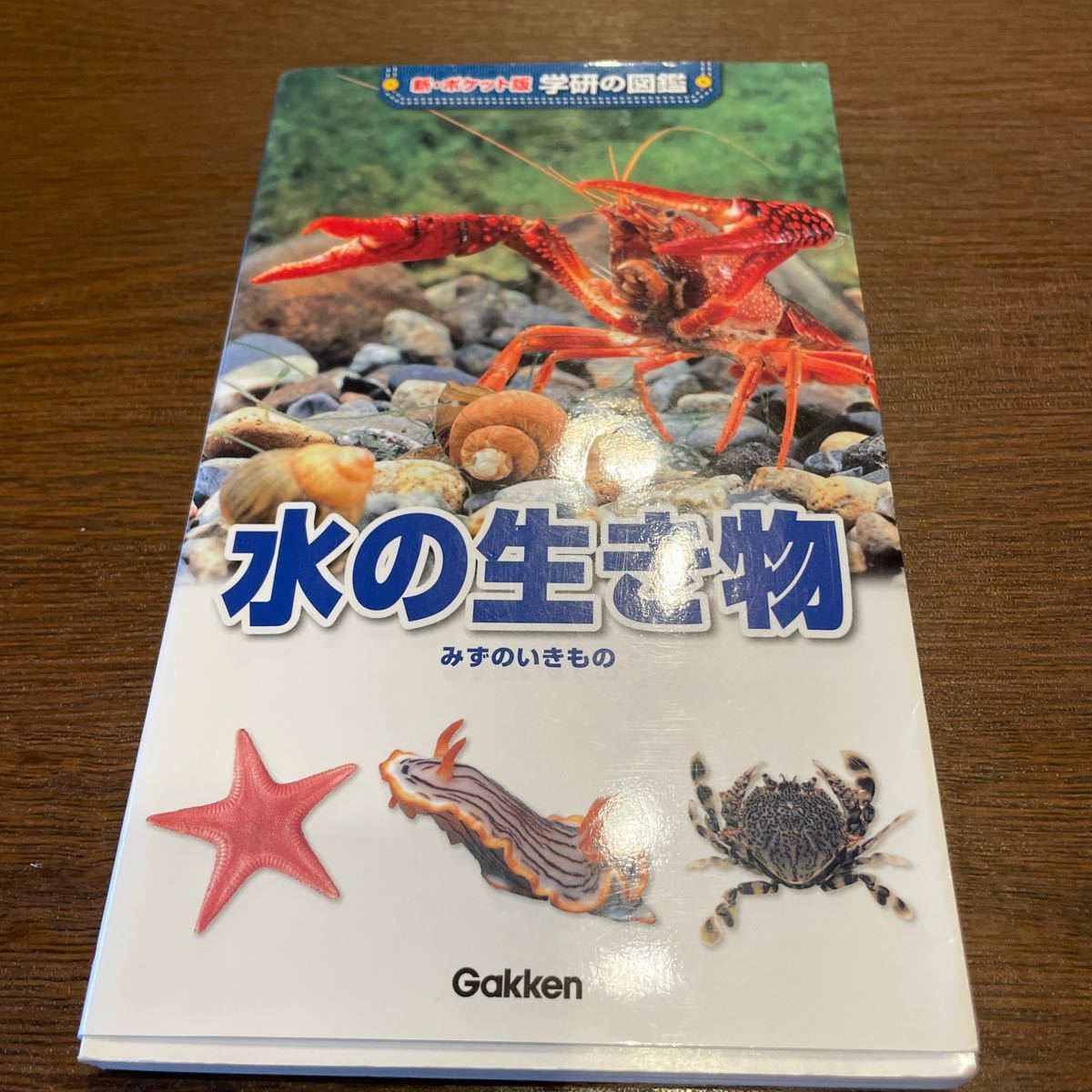 新ポケット版学研の図鑑 4 水の生き物