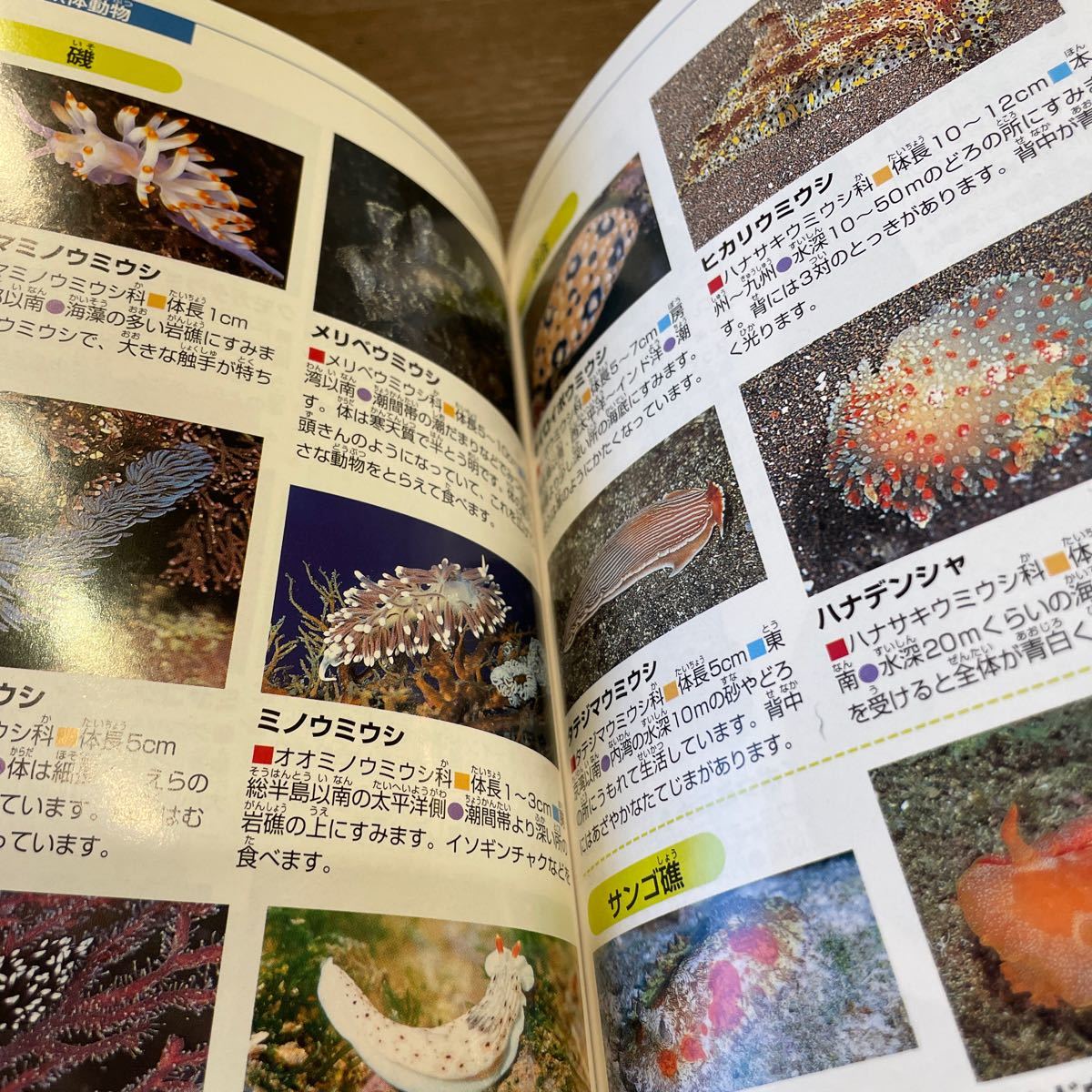 新ポケット版学研の図鑑 4 水の生き物