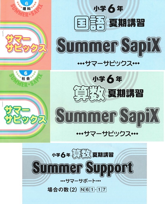 即決！天王山６年夏★サピックス 夏期講習 サマー サピックス SUMMER SAPIX 国語算数理科社会 2022年度版★ 中学受験 サポート kon_画像1