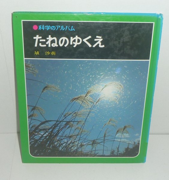 植物：タネ1978『たねのゆくえ／科学のアルバム62』 埴沙萌 著_画像1