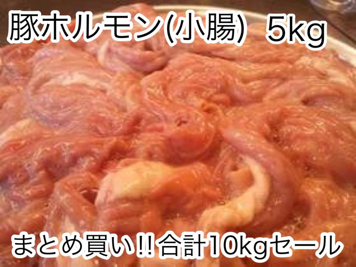 特別セール！！特価価格！！北海道産豚小腸 新鮮 急速冷凍!! 国産 豚ホルモン5kg！！10kg迄は送料同額にて同梱可能！！_画像1