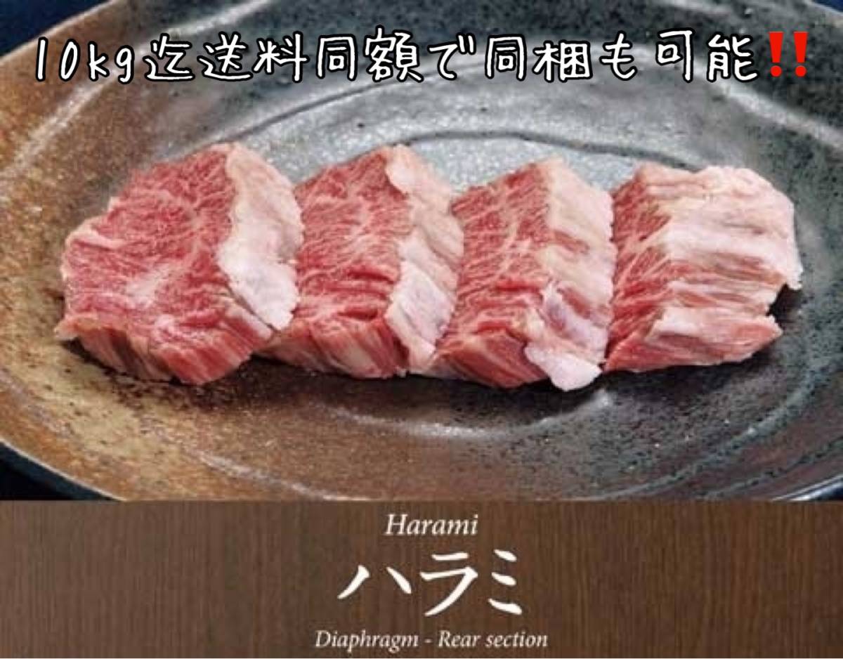 上位ランク！！特選 牛サガリ 高級店 レストラン用「ハンキングテンダー ブロック約1kg～」専門店用/BBQ/焼肉/ホルモン/人気部位/同梱可能_画像1