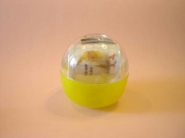 即決　手のりインコ　ミニマグカップ　オカメインコ黄色　小物入れ　インテリア　置物　カプセルトイ　ガチャ_こちらが出品物です