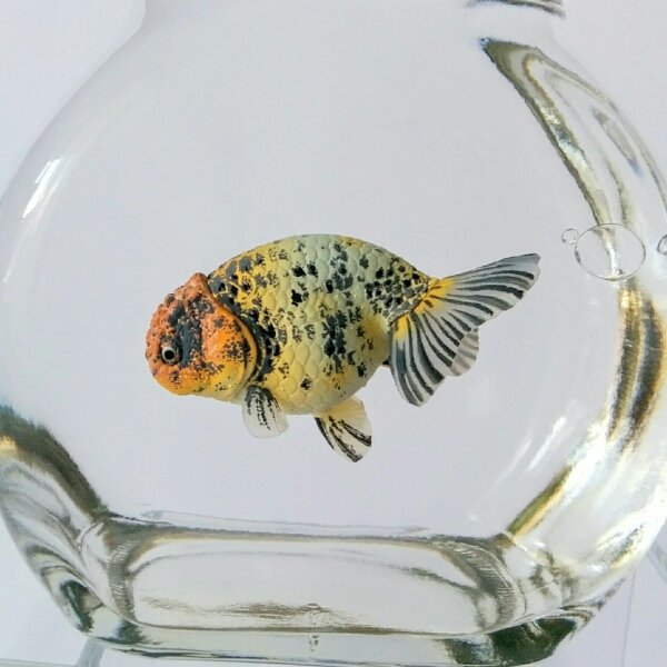 8周年記念イベントが ガラス瓶の金魚 作製キット インテリア 本物そっくり金魚 エドニシキ えど 8周年記念イベントが ガラス瓶の金魚 作製キット インテリア 本物そっくり金魚 エドニシキ えど
