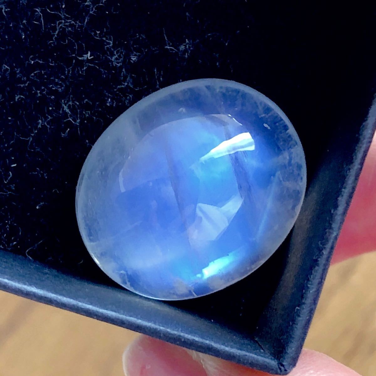 春先取りの 貴重レア 特大天然 アンモライト 11.938ct ienomat.com.br