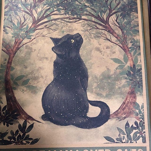 黒猫好きの貴方へ。　　ニャンテリア　ポスター　アート　黒猫　猫
