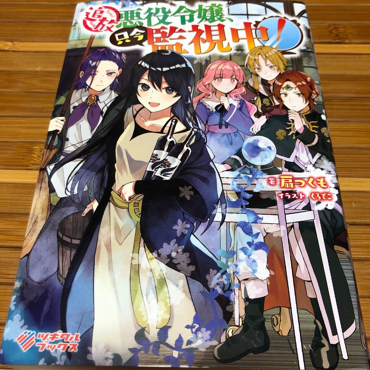 騙され裏切られ処刑された私が……誰を信じられるというのでしょう？　榊万桜／追放悪役、只今監視中！　扇つくも