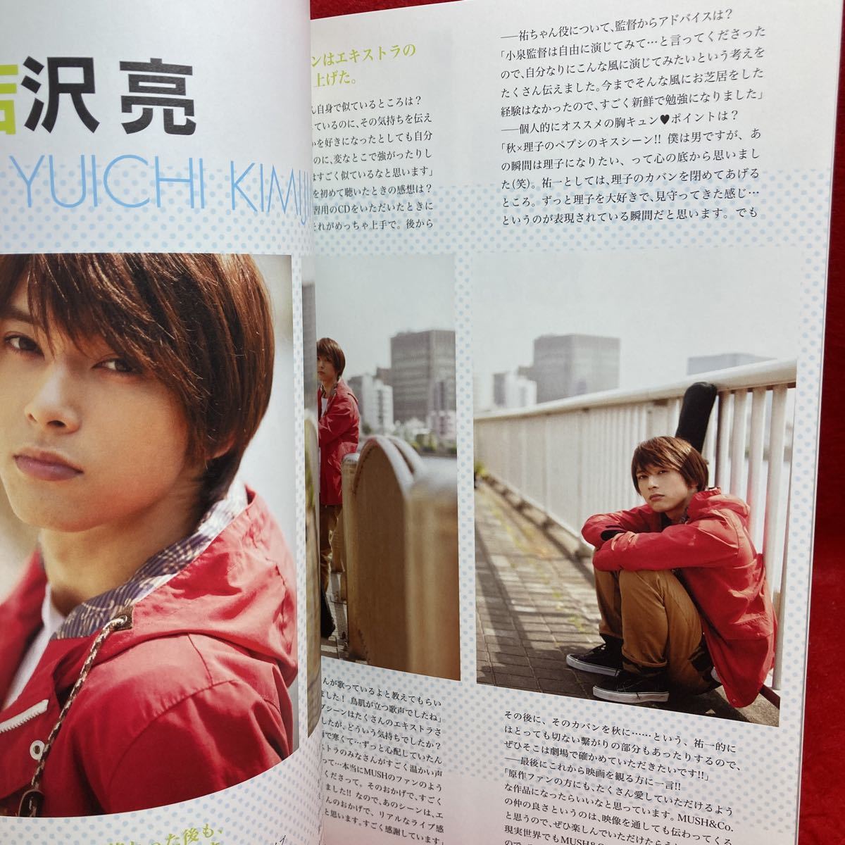 ▽映画 カノジョは嘘を愛しすぎてる OFFICIAL BOOK 佐藤健 CRUDE ▽映画 カノジョは嘘を愛しすぎてる OFFICIAL BOOK 佐藤健 CRUDE