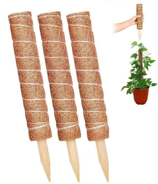 3本セット 観葉植物 園芸 支柱 おしゃれ モンステラ 天然 ココナッツ 30 モンステラ 売買されたオークション情報 Yahooの商品情報をアーカイブ公開 オークファン Aucfan Com 3本セット 観葉植物 園芸 支柱 おしゃれ モンステラ 天然 ココナッツ 30 モンステラ 売買されたオークション情報 Yahooの商品情報をアーカイブ公開 オークファン Aucfan Com