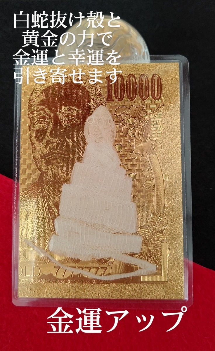 爆売りセール開催中 縁起物 白蛇 金運アップ 健康長寿 商売繁盛 強魔
