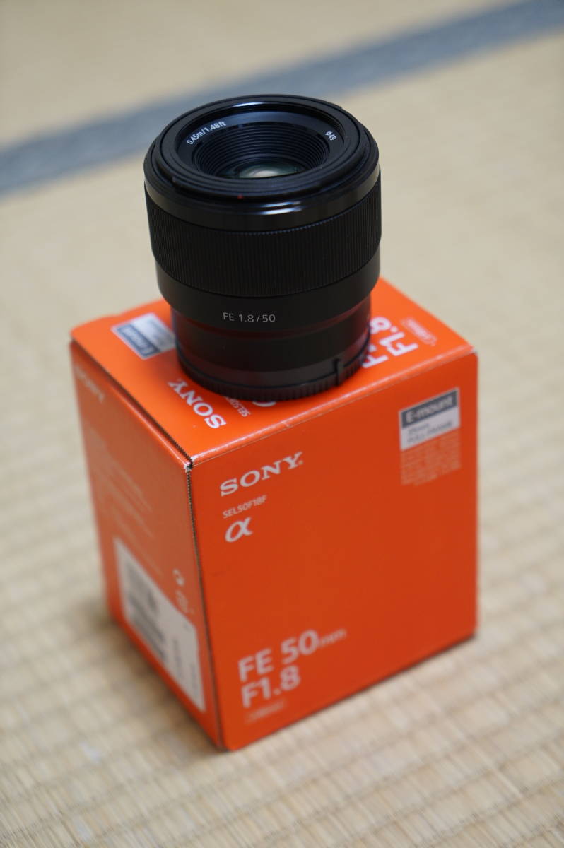 ☆ソニー FE 50mm F1.8 SEL50F18F【美品】 | www.dolafz.com