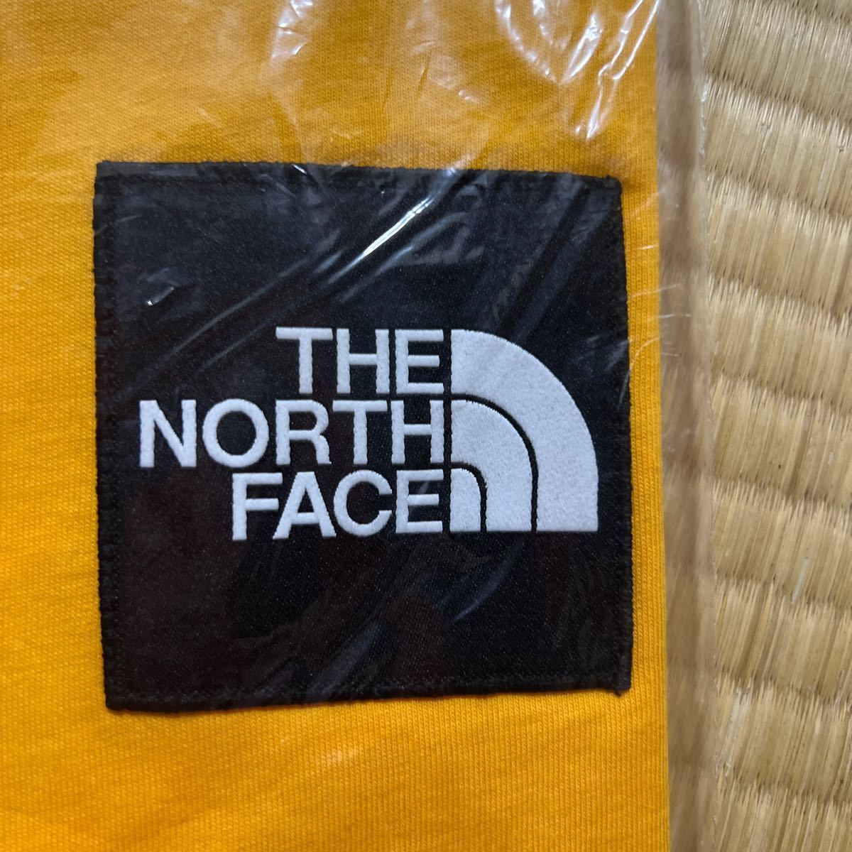 The North Face Snow Maven T-shirt ザノースフェイス 半袖Tシャツ