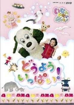 NHK いないいないばぁっ! どうよういっぱい! レンタル落ち 中古 DVD_画像1