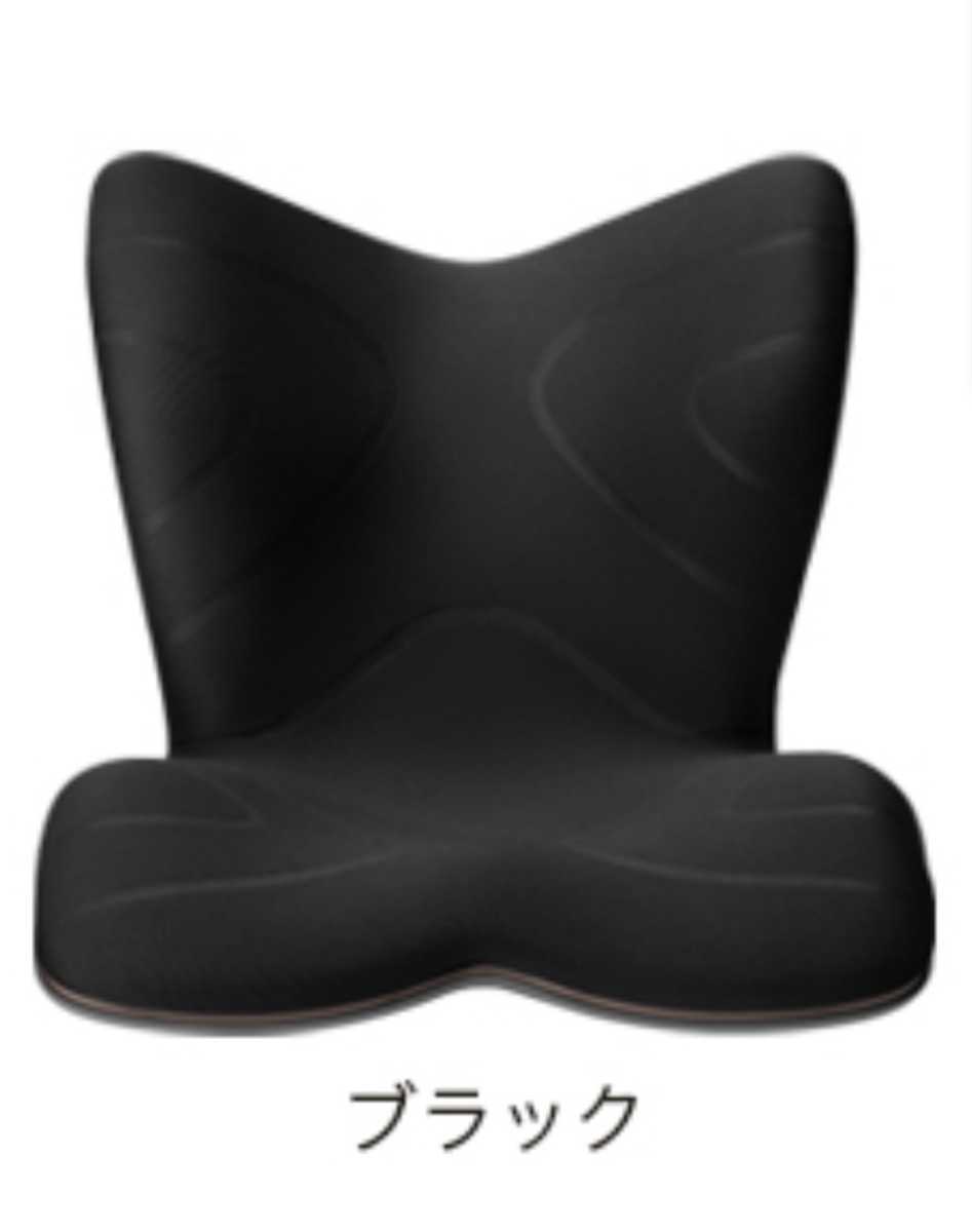 未使用 未開封 MTG スタイル プレミアム ブラック 骨盤矯正 座椅子-