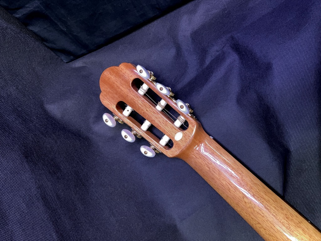 アウトレット特価品】ARIA A-50F フラメンコギター | inmano.com.br