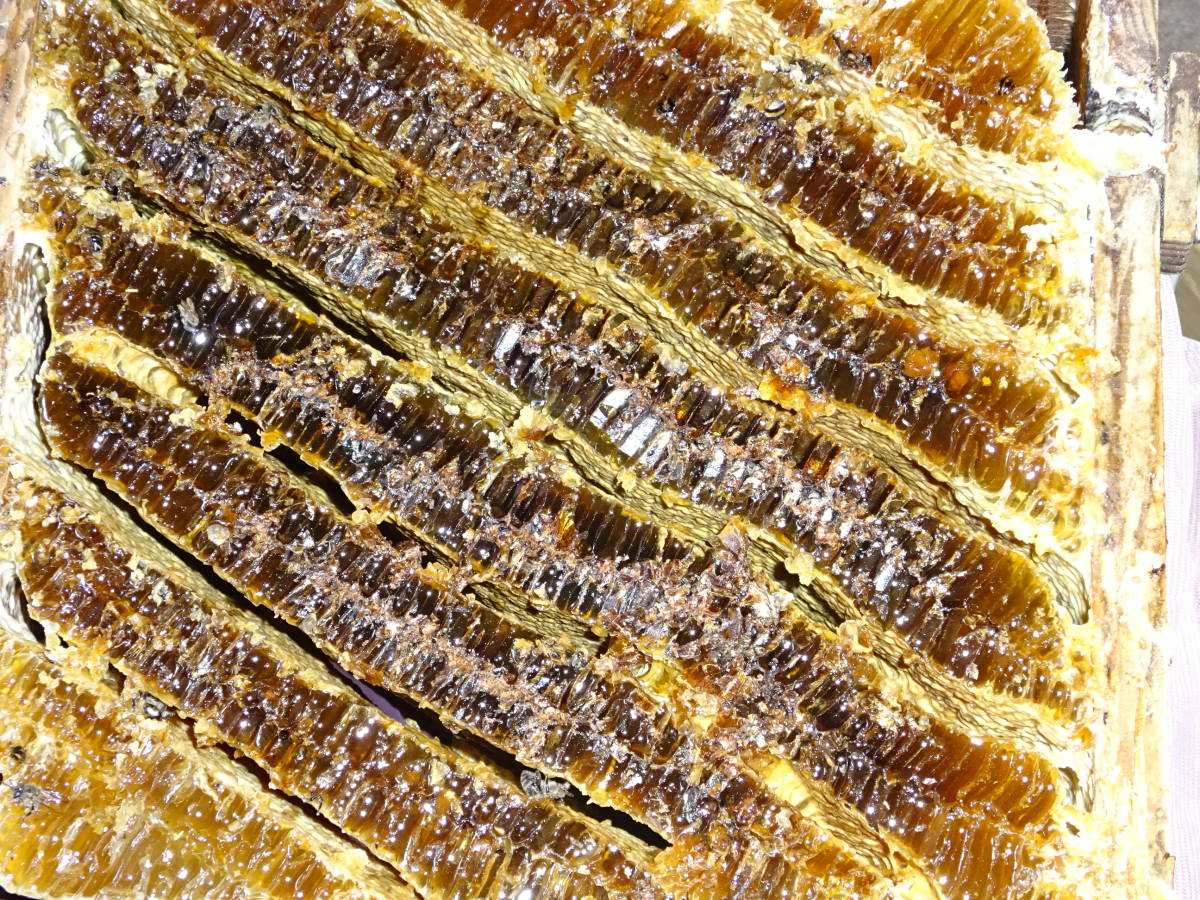 ★日本蜜蜂のはちみつ．百花蜜蜂　3～4年物です_画像4