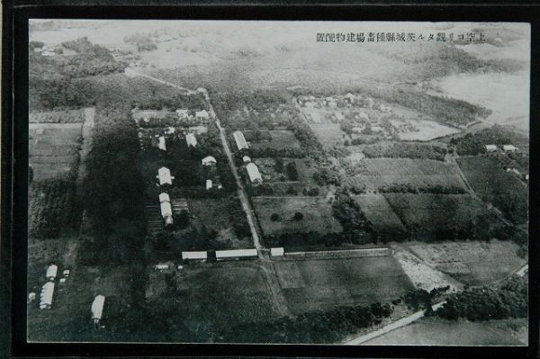 13024 戦前 絵葉書 茨城 航空写真 上空より観たる茨城県種畜場建物配置_画像1