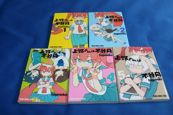 中古品　上野さんは不器用1～5巻　コミック　tugeneko　5冊セット　 白泉社_画像1