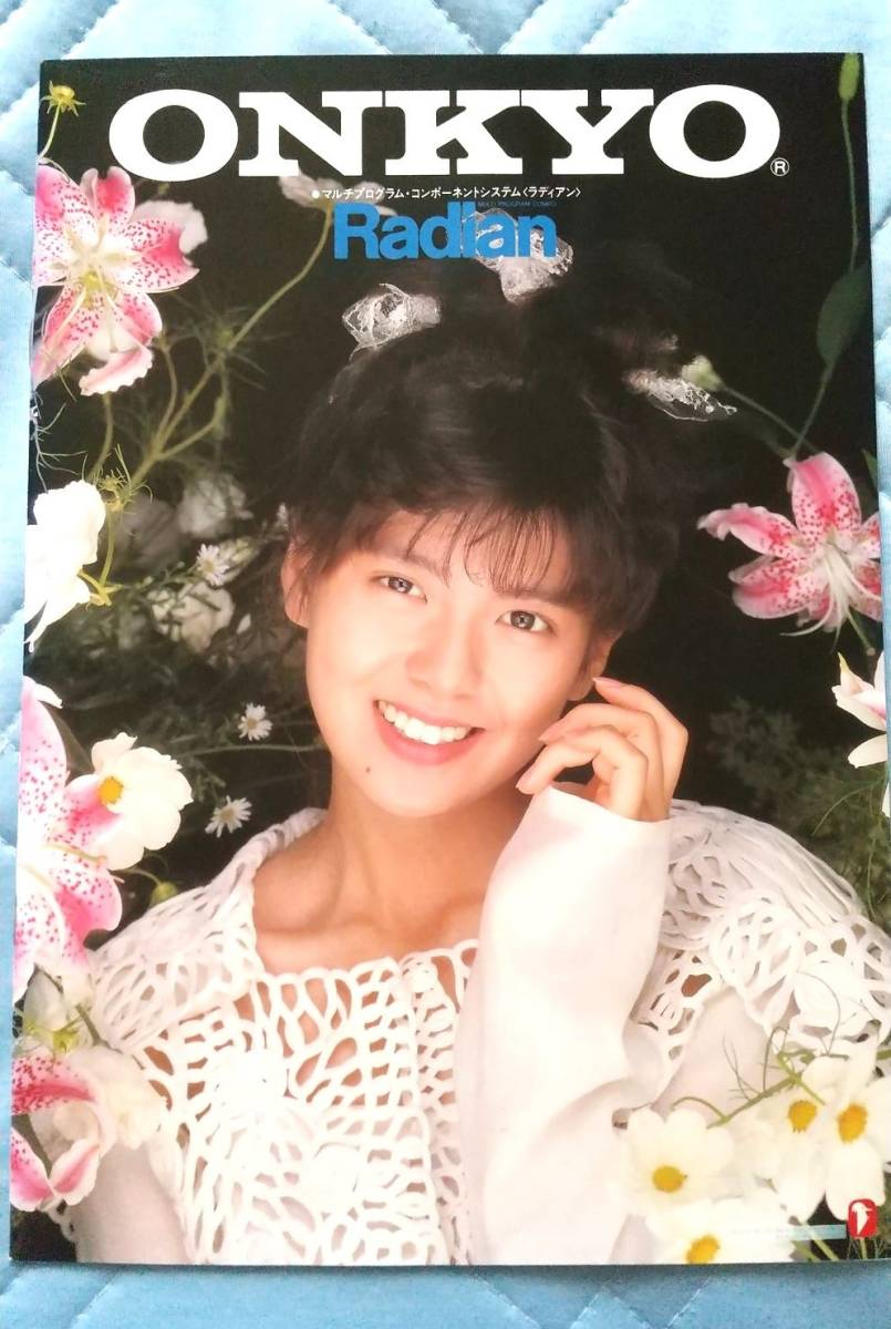Yahoo!オークション - 1988年 南野陽子 ステレオ カタログ2冊 ONKYO