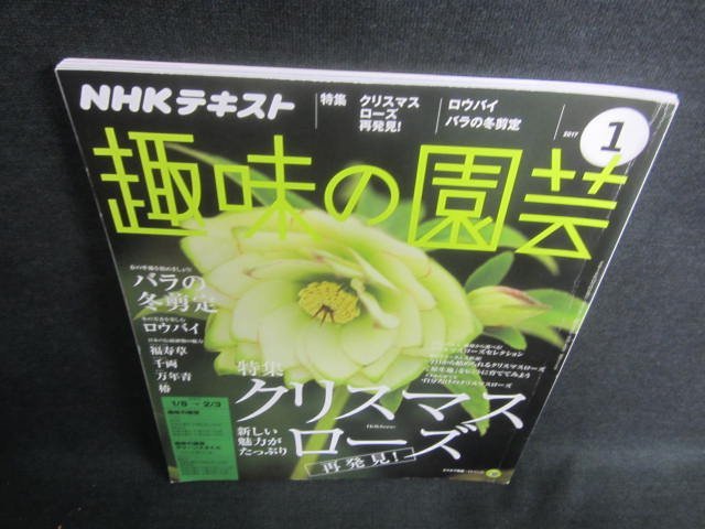 NHK text hobby. gardening 2017.1 Christmas rose repeated discovery /DDF