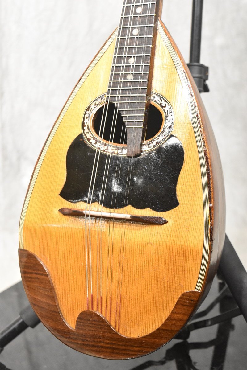 VINACCIA ヴィナッチャ マンドリン Anno1967 VINACCIA ヴィナッチャ マンドリン Anno1967