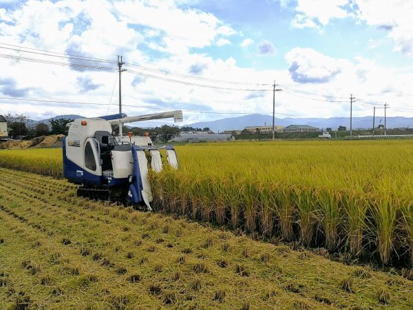 令和３年10月収穫 こだわり緑肥栽培　奈良県産ヒノヒカリ玄米20kg 　農家直送【送料無料、無料精米可】_画像5