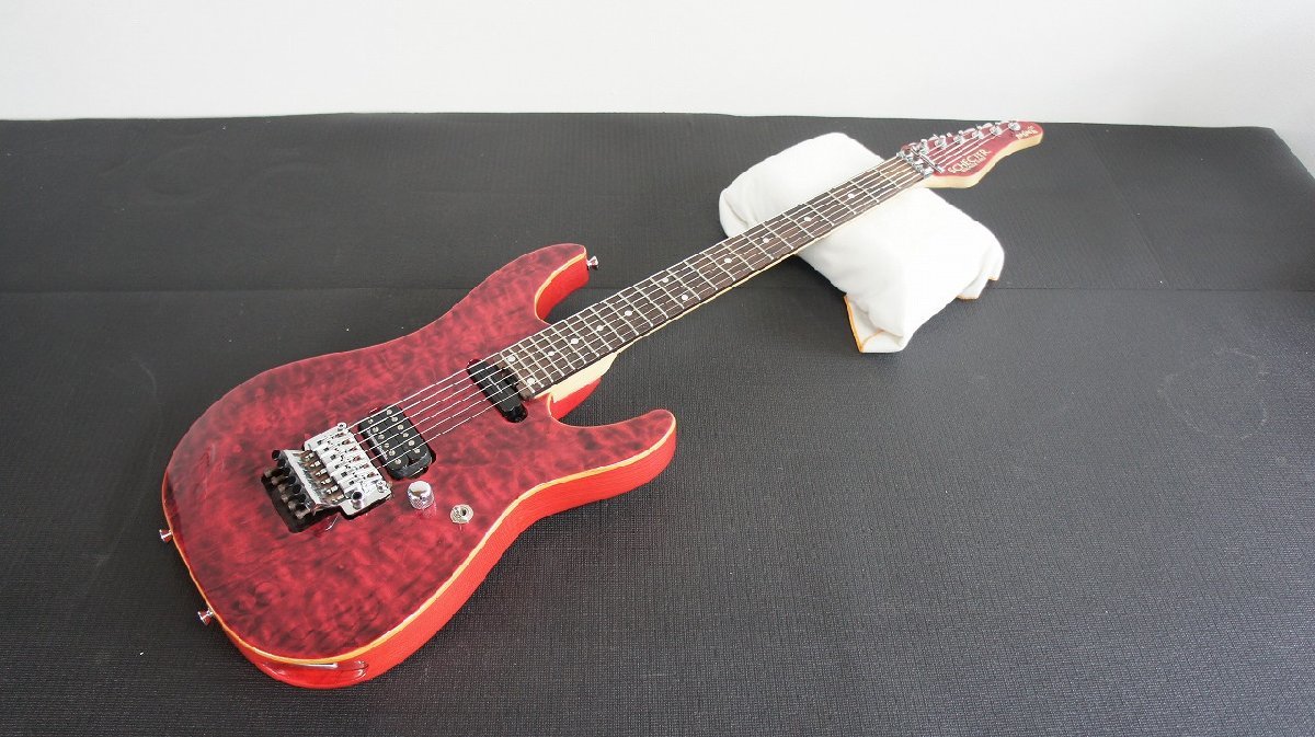 シェクター 小林信一 モデル SCHECTER PA-ZK-1 | silvaequipamentos.com