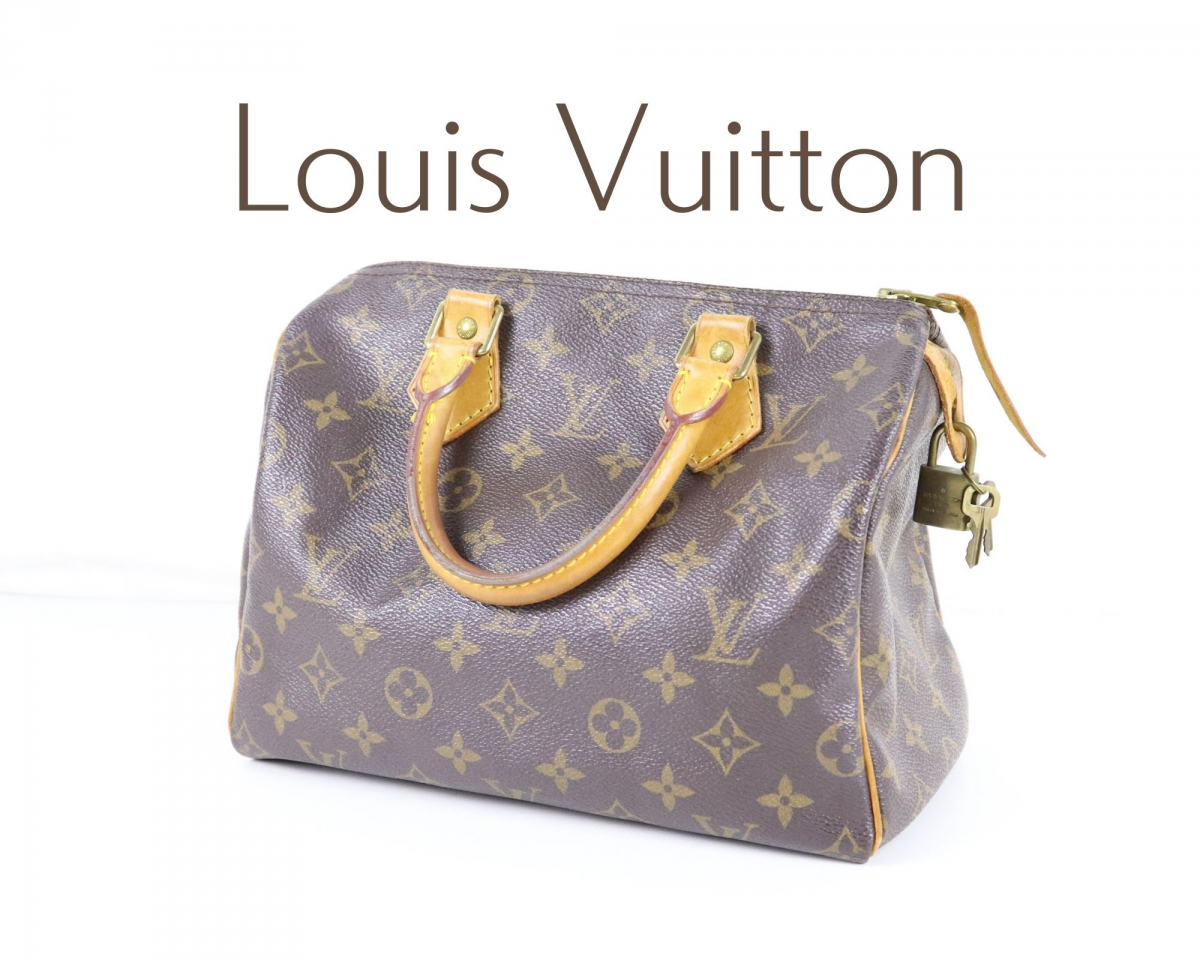 Louis Vuitton ルイヴィトン ミニボストン スピーディ25 ハンドバッグ 