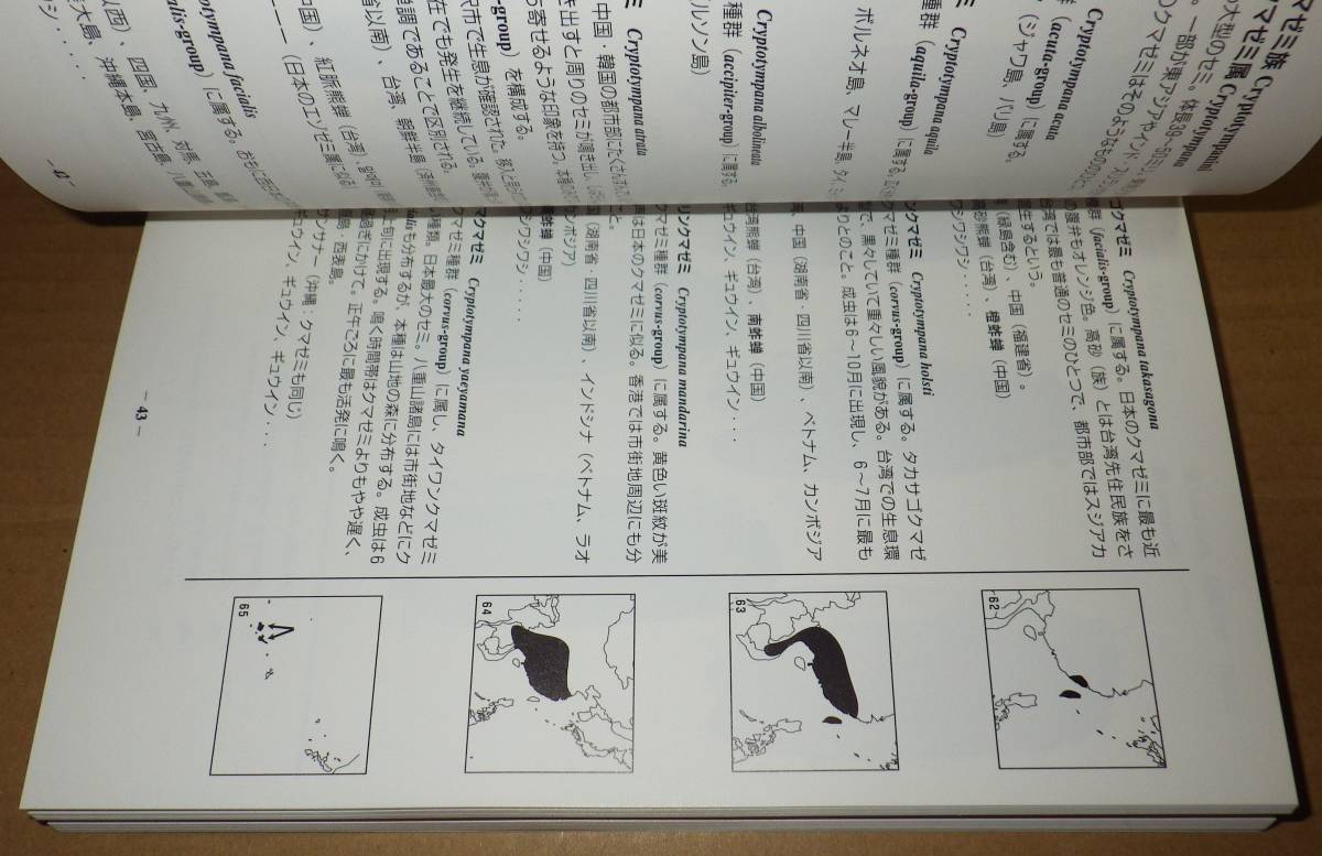 図鑑　世界のセミ200種　（第36回特別展解説書）　　　　　　　初宿成彦　　　　　　　大阪市立自然史博物館_画像10