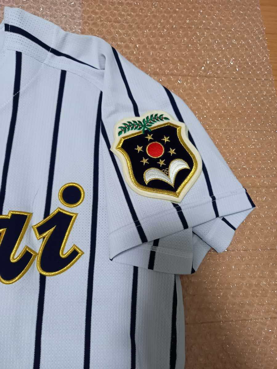 甲子園出場校 山梨県 東海大学付属甲府高校 野球部 公式戦 甲子園出場校 山梨県 東海大学付属甲府高校 野球部 公式戦