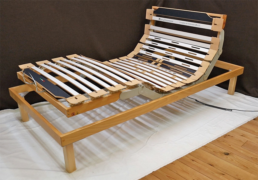  stock limit Italy Dorsal company manufactured electric single bed Experience-RA800 wood springs bed single goods 