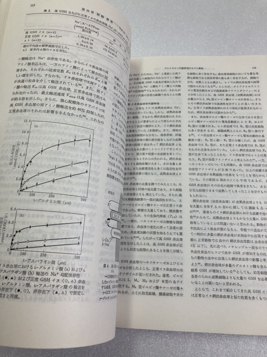 grutachi on research. Epo k( Vaio science as. new development ). white quality *. acid * enzyme special increase . Showa era 63 year 