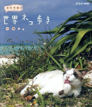  скала . свет .. мир кошка .. Okinawa (Blu-ray Disc)| скала . свет .( фотосъемка )