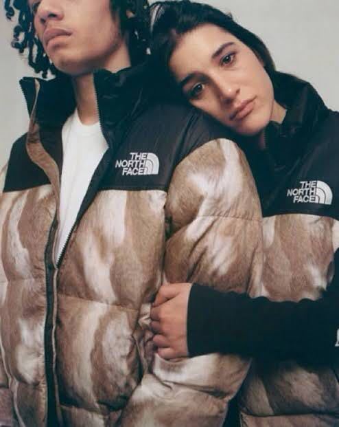 国内正規 【美品 ファーM The North Face Supreme Fur Print 国内正規 【美品 ファーM The North Face Supreme Fur Print