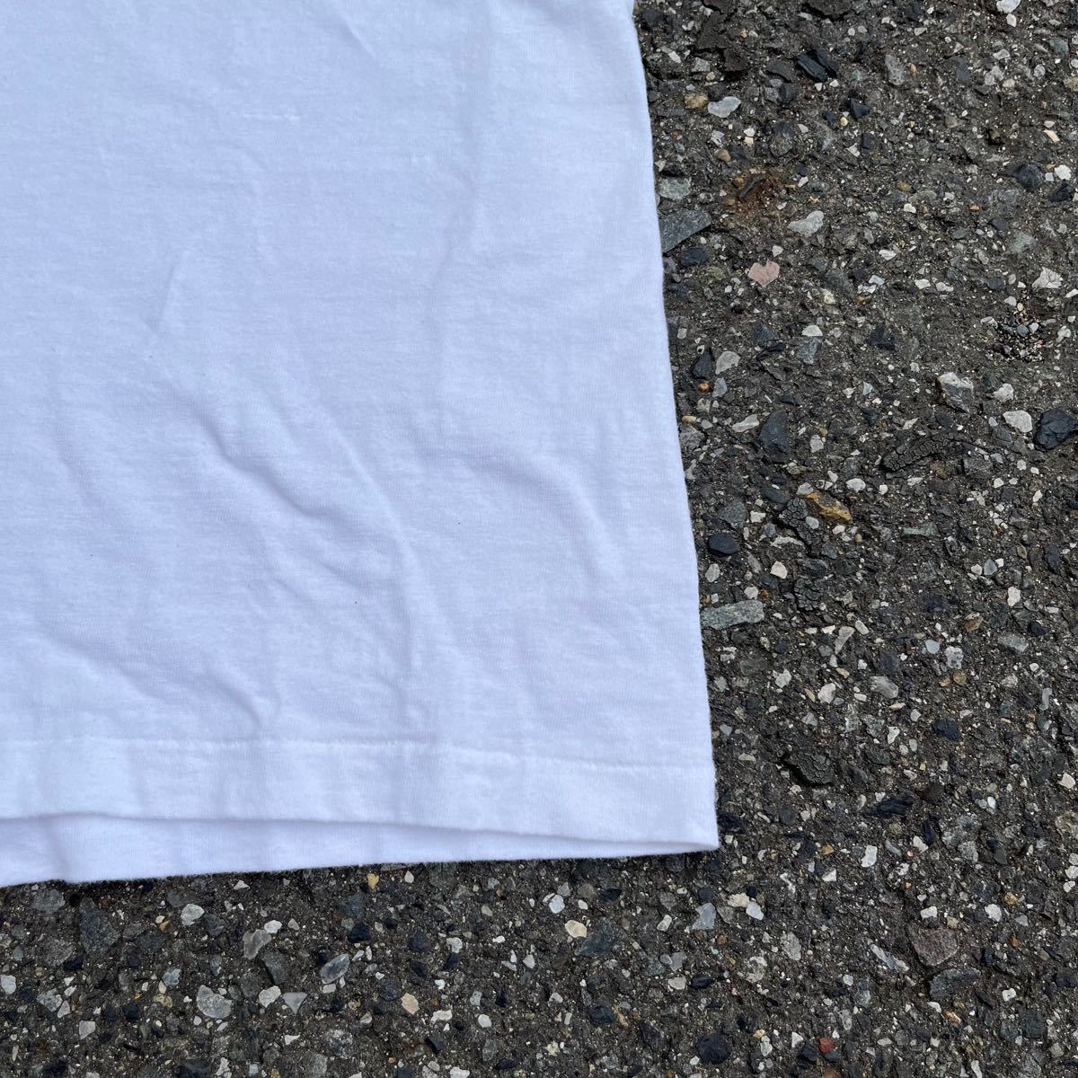 ☆送料無料☆ 【超希少】Hanes ヘインズ BEEFY スイミングTシャツ ...
