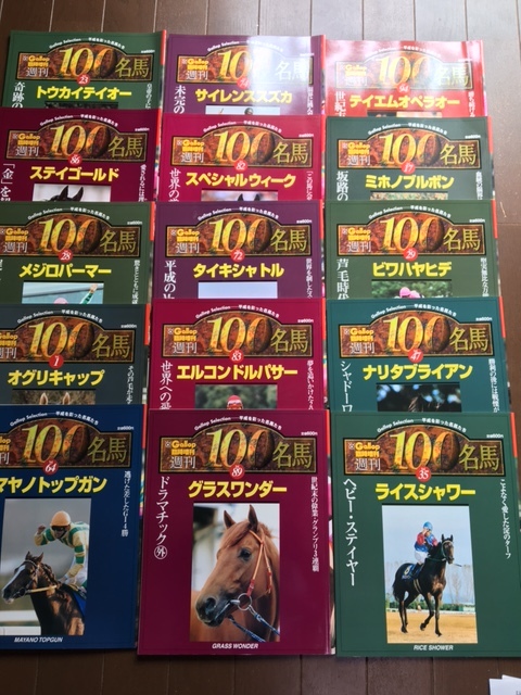 安い購入 Gallop臨時増刊週刊100名馬 スペシャルウィーク tdh