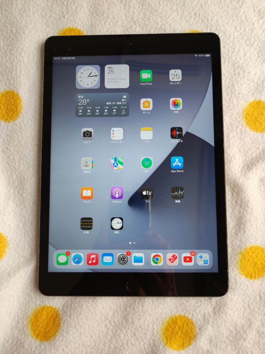 iPad 第7世代 スペースグレー 32GB SIMフリー | ospsteel.com