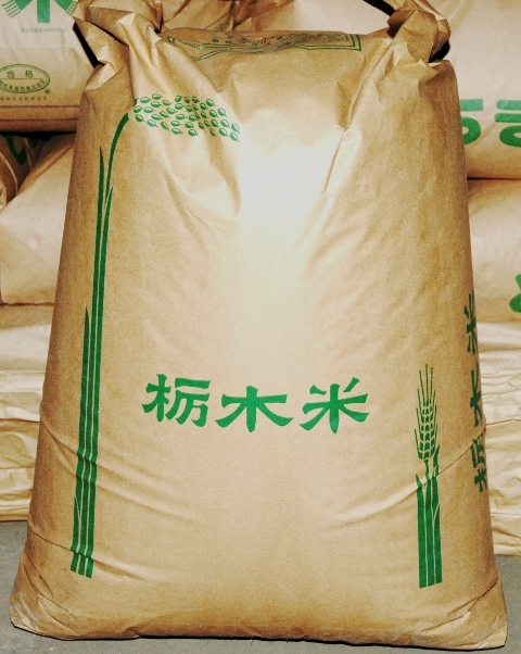 とちほのか 栃木県産 新米 令和4年産 コシヒカリ 玄米20kg 精米18kg 無洗米17kg_画像1